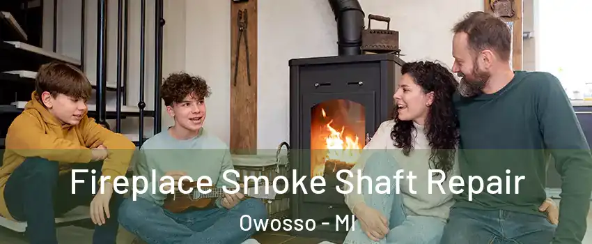  Fireplace Smoke Shaft Repair Owosso - MI