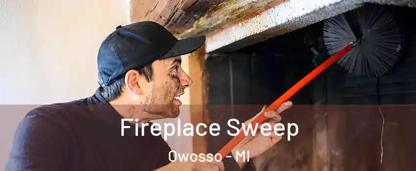 Fireplace Sweep Owosso - MI