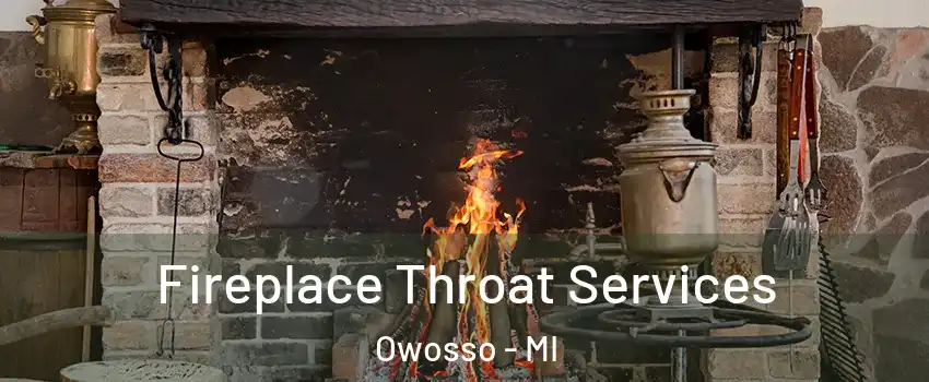  Fireplace Throat Services Owosso - MI