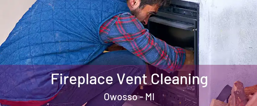  Fireplace Vent Cleaning Owosso - MI
