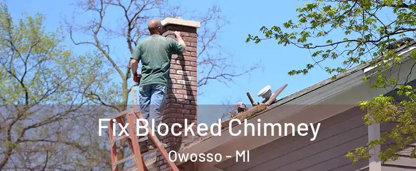  Fix Blocked Chimney Owosso - MI