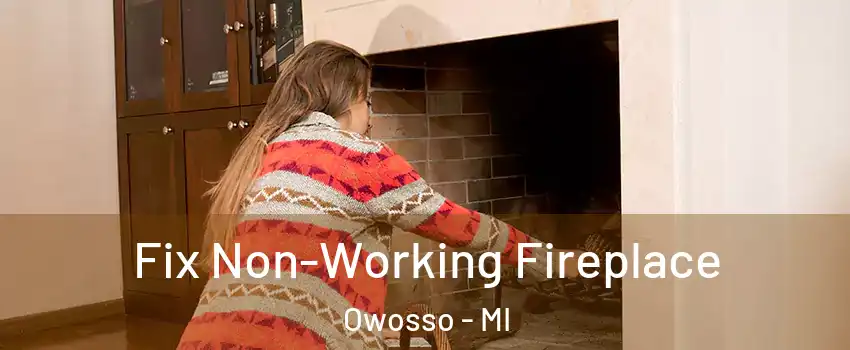  Fix Non-Working Fireplace Owosso - MI