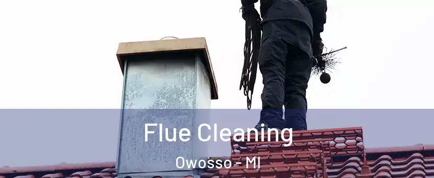 Flue Cleaning Owosso - MI