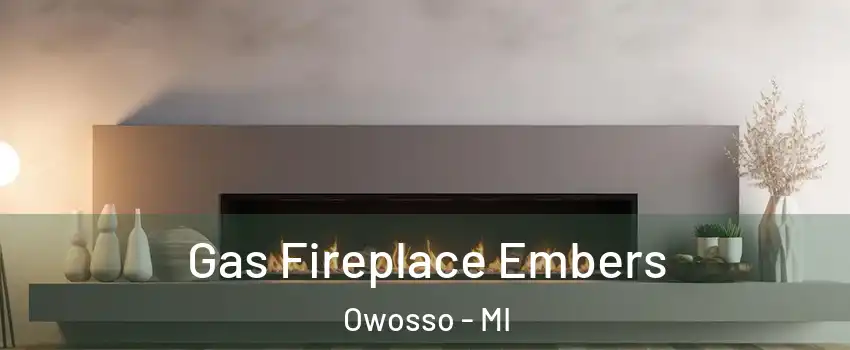  Gas Fireplace Embers Owosso - MI