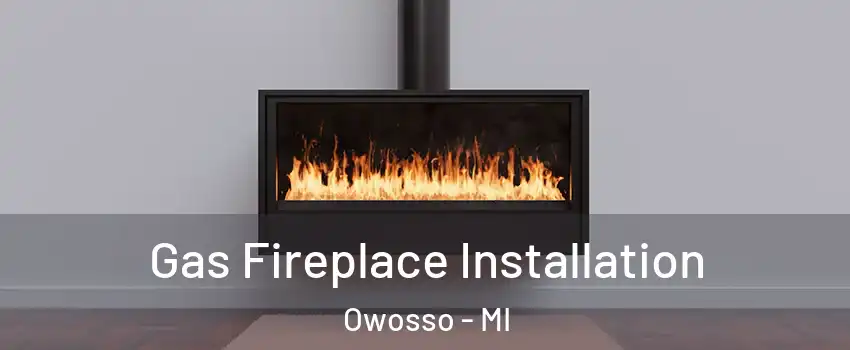  Gas Fireplace Installation Owosso - MI