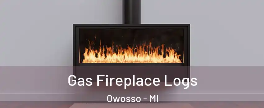  Gas Fireplace Logs Owosso - MI