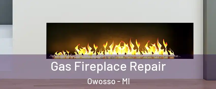  Gas Fireplace Repair Owosso - MI