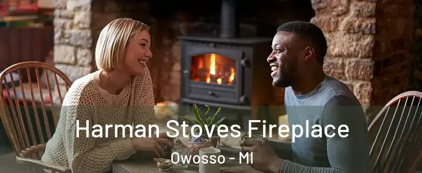  Harman Stoves Fireplace Owosso - MI
