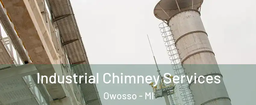  Industrial Chimney Services Owosso - MI