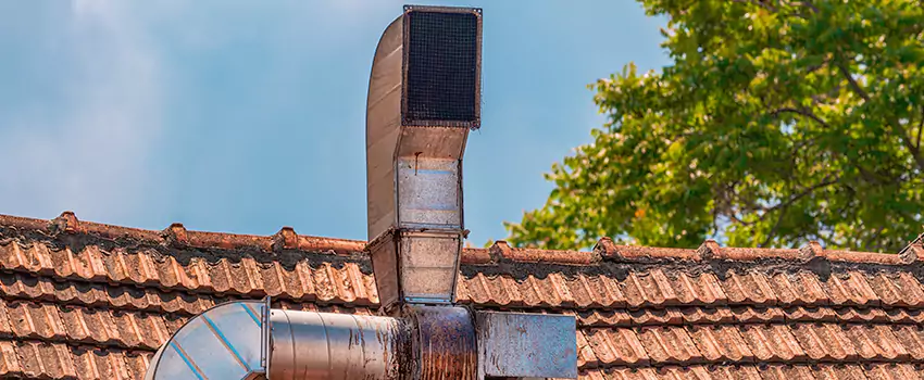 Chimney Blockage Removal in Owosso, Michigan