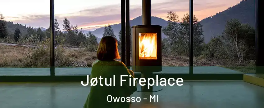  Jøtul Fireplace Owosso - MI