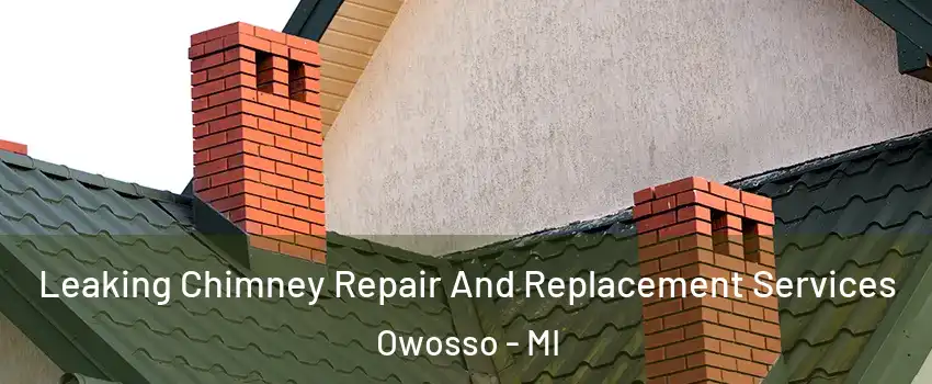  Leaking Chimney Repair And Replacement Services Owosso - MI