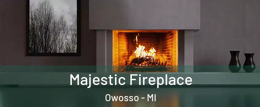  Majestic Fireplace Owosso - MI