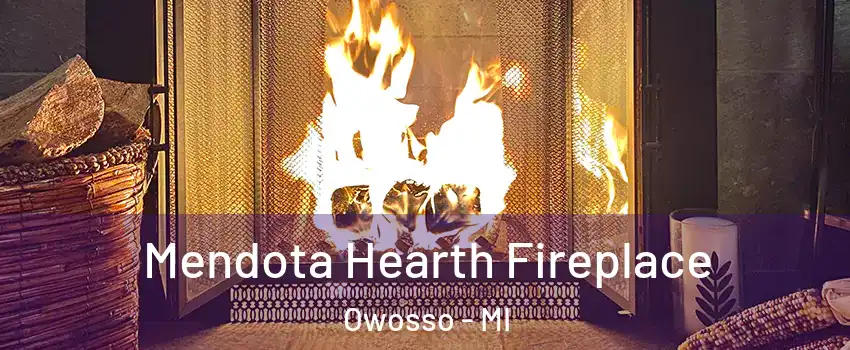  Mendota Hearth Fireplace Owosso - MI