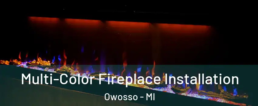  Multi-Color Fireplace Installation Owosso - MI