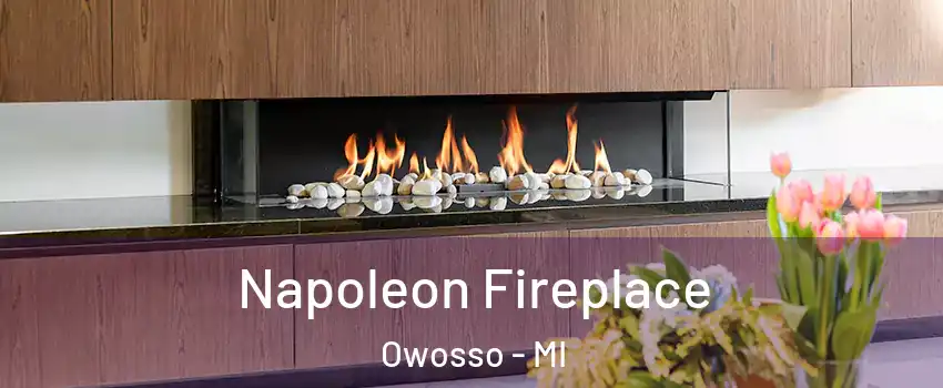  Napoleon Fireplace Owosso - MI