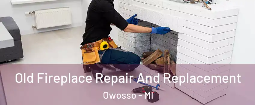  Old Fireplace Repair And Replacement Owosso - MI
