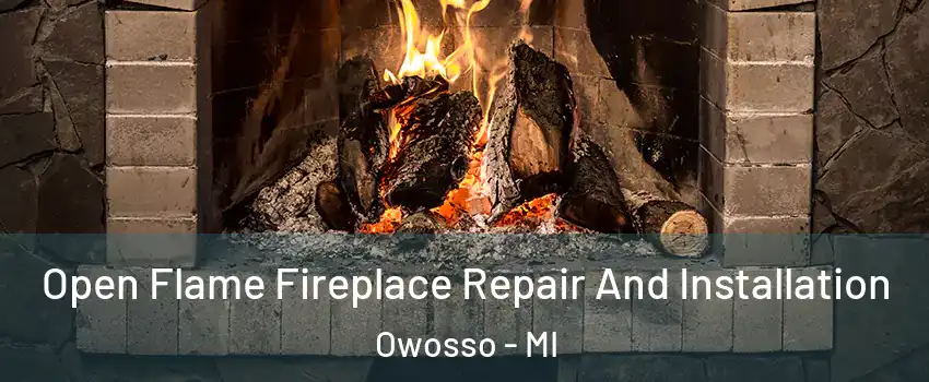  Open Flame Fireplace Repair And Installation Owosso - MI
