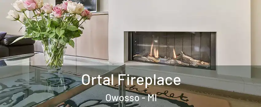  Ortal Fireplace Owosso - MI
