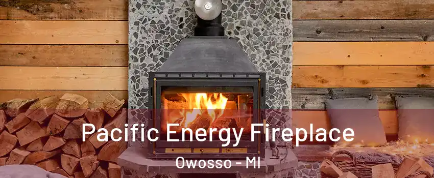  Pacific Energy Fireplace Owosso - MI