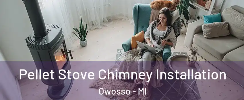  Pellet Stove Chimney Installation Owosso - MI