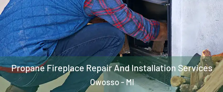  Propane Fireplace Repair And Installation Services Owosso - MI