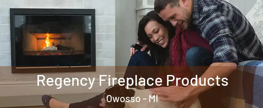  Regency Fireplace Products Owosso - MI