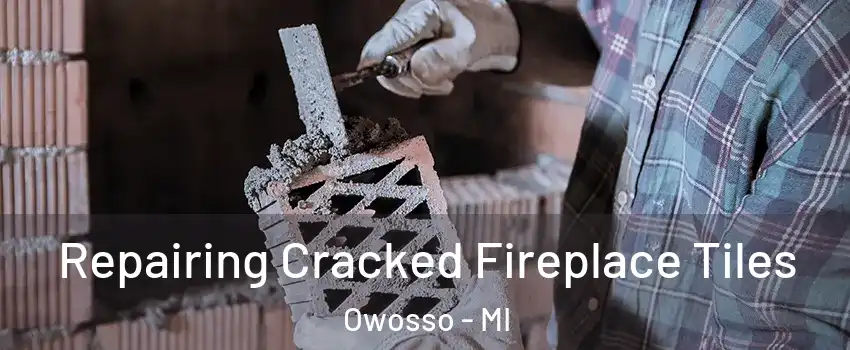  Repairing Cracked Fireplace Tiles Owosso - MI