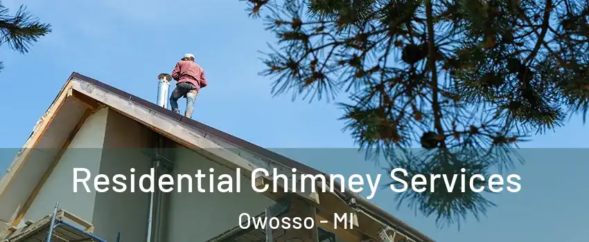  Residential Chimney Services Owosso - MI