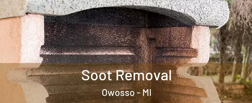  Soot Removal Owosso - MI