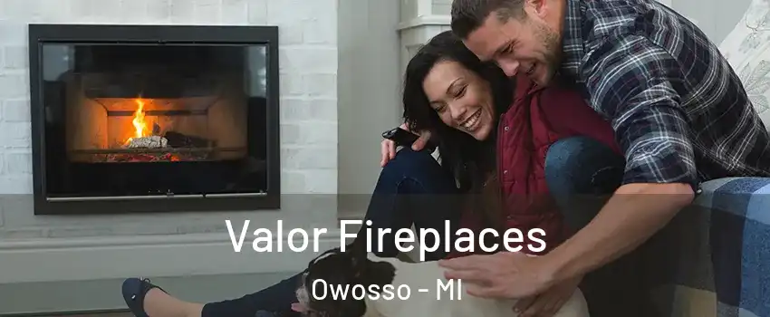  Valor Fireplaces Owosso - MI