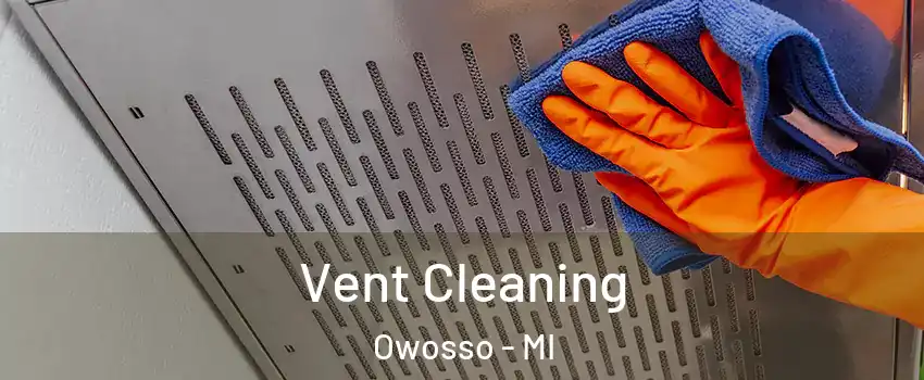  Vent Cleaning Owosso - MI