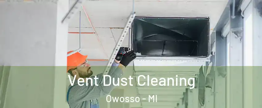 Vent Dust Cleaning Owosso - MI