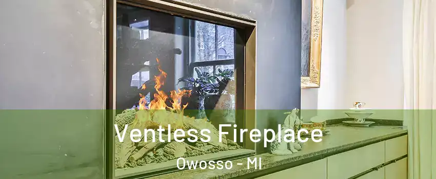  Ventless Fireplace Owosso - MI