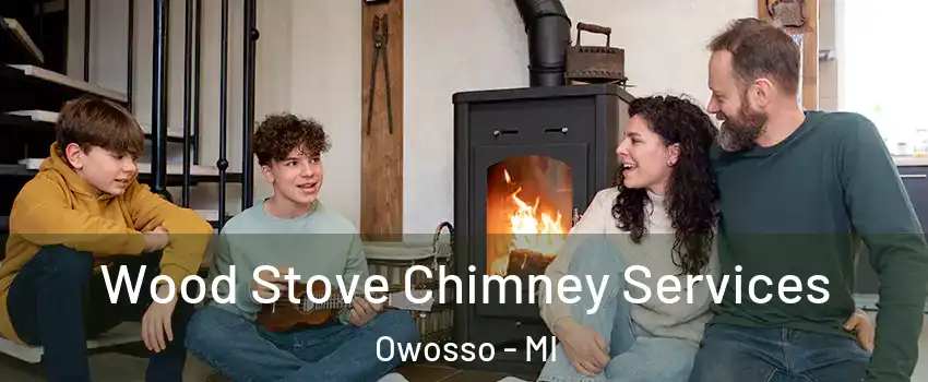  Wood Stove Chimney Services Owosso - MI