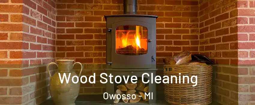  Wood Stove Cleaning Owosso - MI